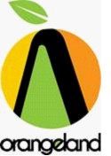 Senior Accountant