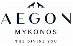 PR & Events Manager / Beach Club - Mykonos