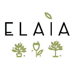 Elaia